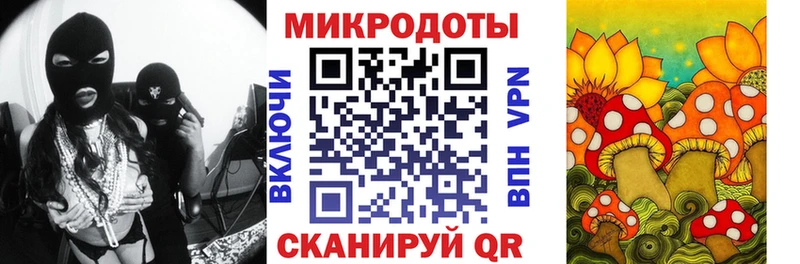 Галлюциногенные грибы Psilocybine cubensis Орск